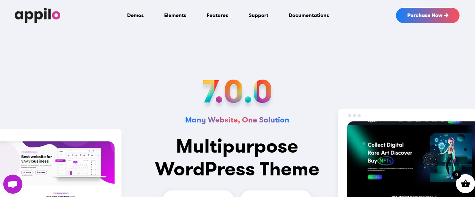 SaaS WordPressThemes
