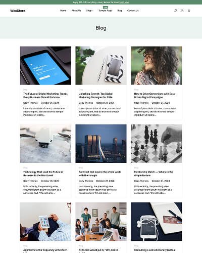 WoxStore WooCommerce Theme 14