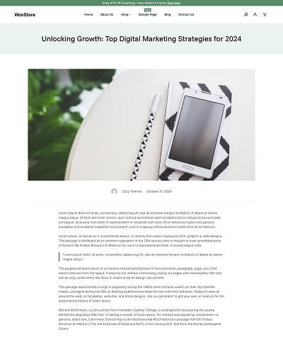 WoxStore WooCommerce Theme 15