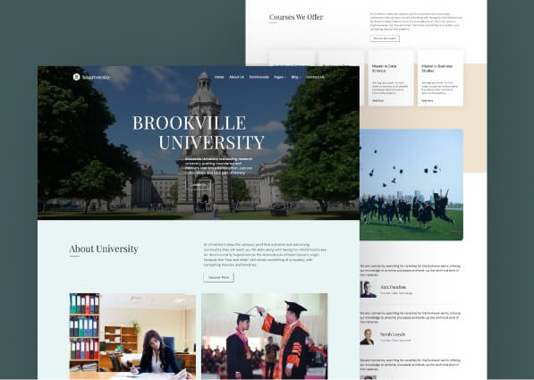 WordPress Themes and Templates Collection 19